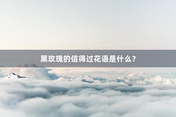 黑玫瑰的信得过花语是什么?